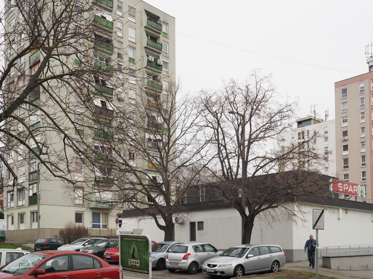 Pajger Apartman Egyetemvaros 佩奇 外观 照片